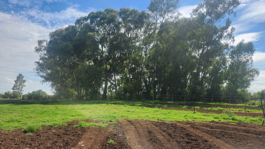 Commercial Property for Sale in Lichtenburg Rural North West